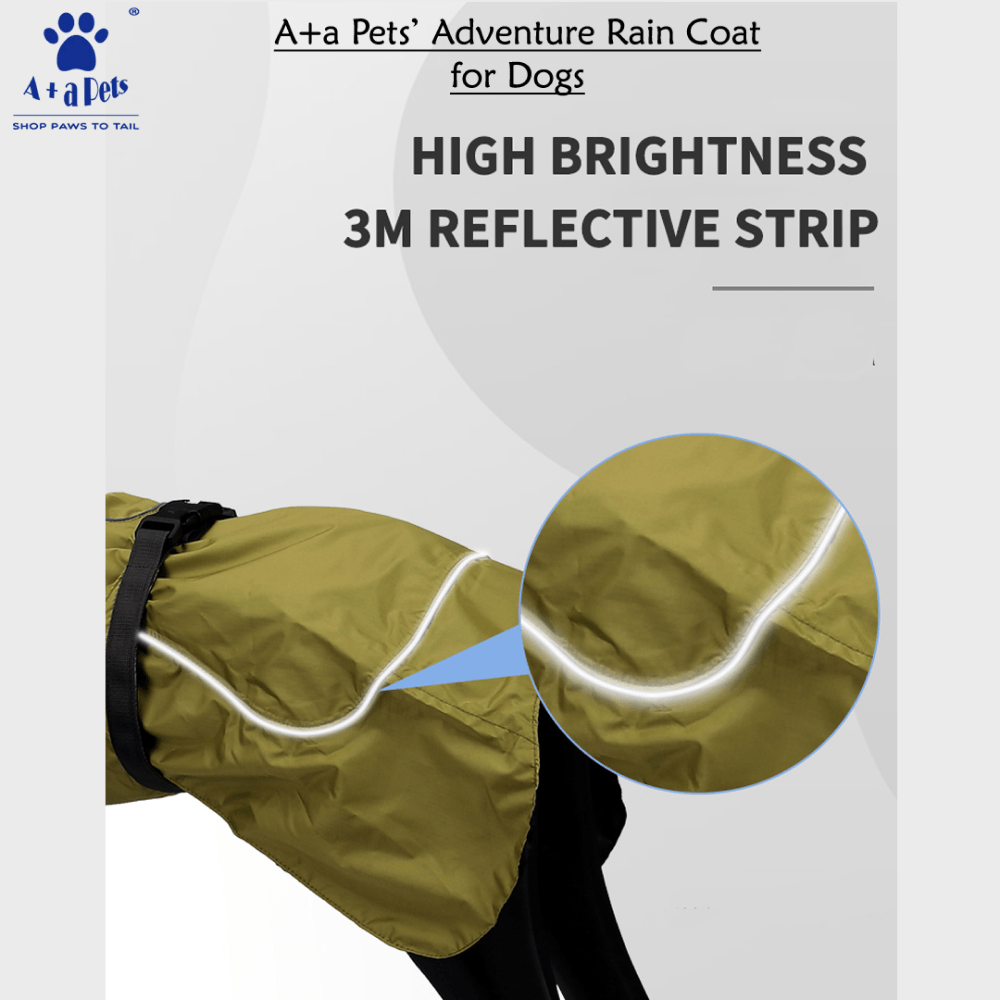 A Plus A Pets Adventure Raincoat for Dogs (Khaki)