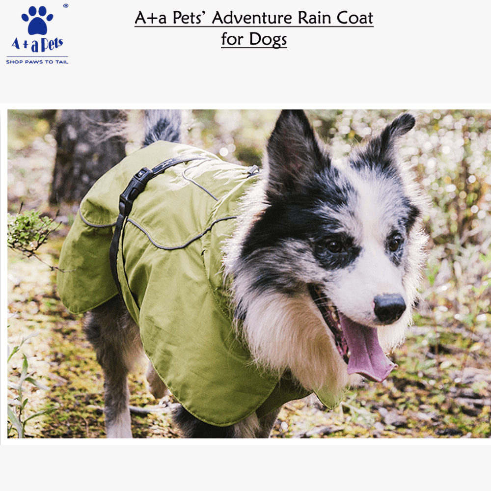 Rottweiler raincoat 2025