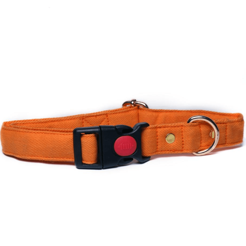 Mutt of Course Goosberry Dog Collar
