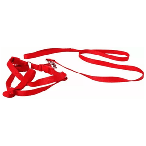 Emily Pets Leash And Harness Set for Dogs (Red)