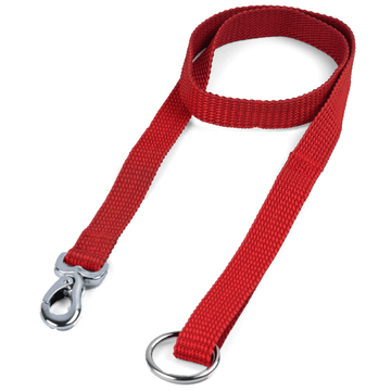 M Pets Sportline Leash for Dogs (Red)