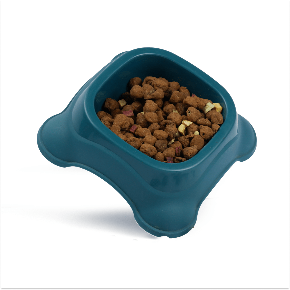 M Pets Plastic Single Bowl for Dogs (Green)