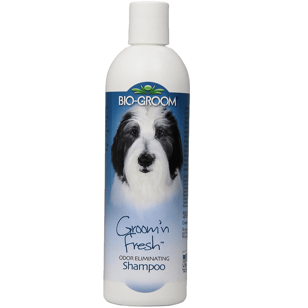 Bio Groom Groom N Fresh Conditioning Shampoo for Dogs and Cats