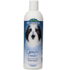 Bio Groom Groom N Fresh Conditioning Shampoo for Dogs and Cats
