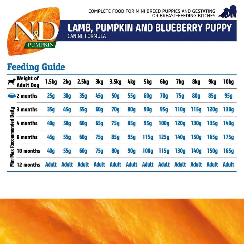 Farmina N&D Pumpkin Lamb & Blueberry Grain Free Puppy Mini Dog Dry Food