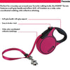 Kong Terrain Retractable Leash for Dogs and Cats (Fuchsia)