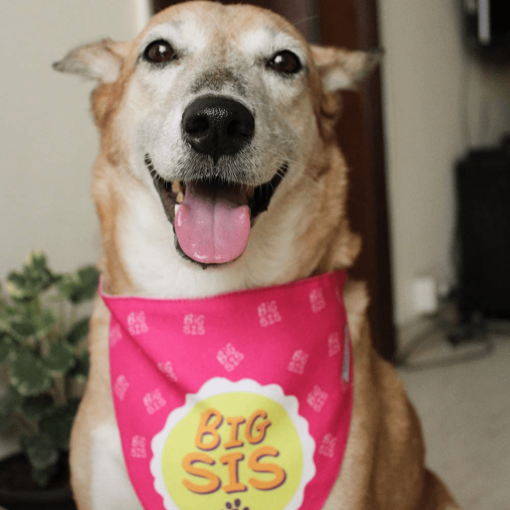 Lana Paws Big Sis Adjustable Dog Bandana/Scarf-Pink