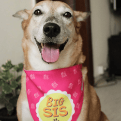 Lana Paws Big Sis Adjustable Bandana/Scarf for Dogs (Pink)