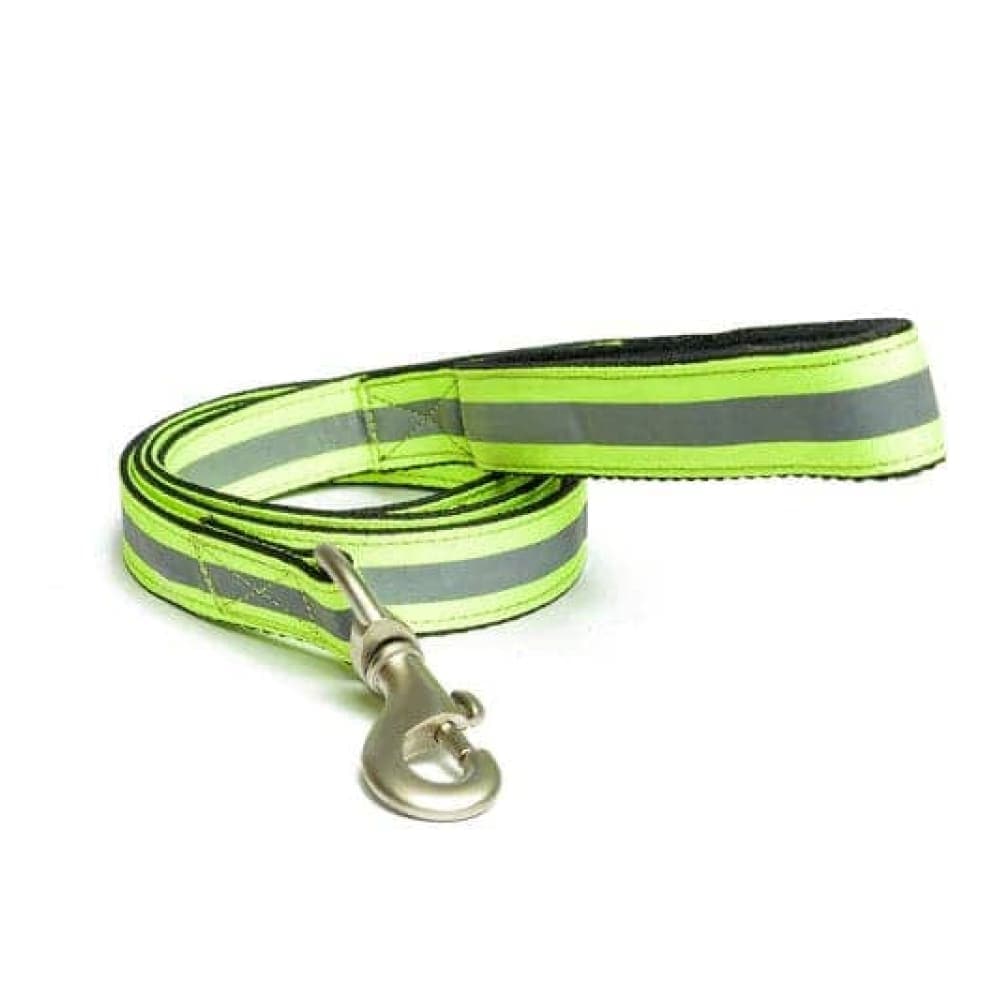 PetWale Nylon Leash for Dogs (Reflective Green)