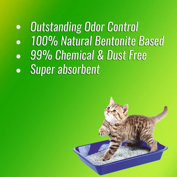 Pet Pattern Natural Clay Scented Cat Litter