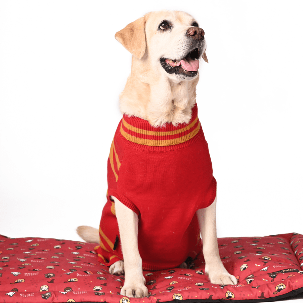 Harry Potter Gryffindor Dog Sweater