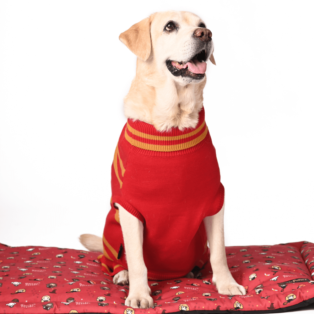 Gryffindor dog sweater best sale