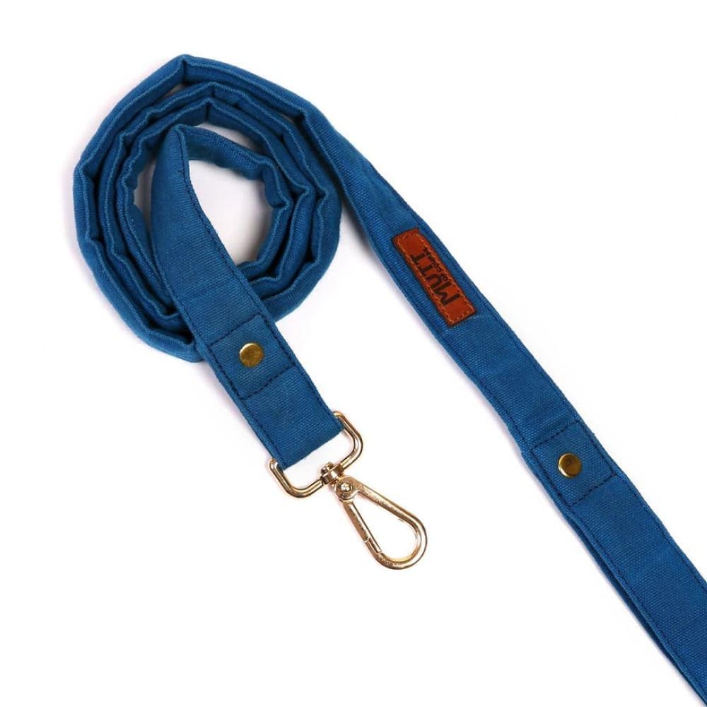 Mutt of Course Leash for Dogs (Blueberry)