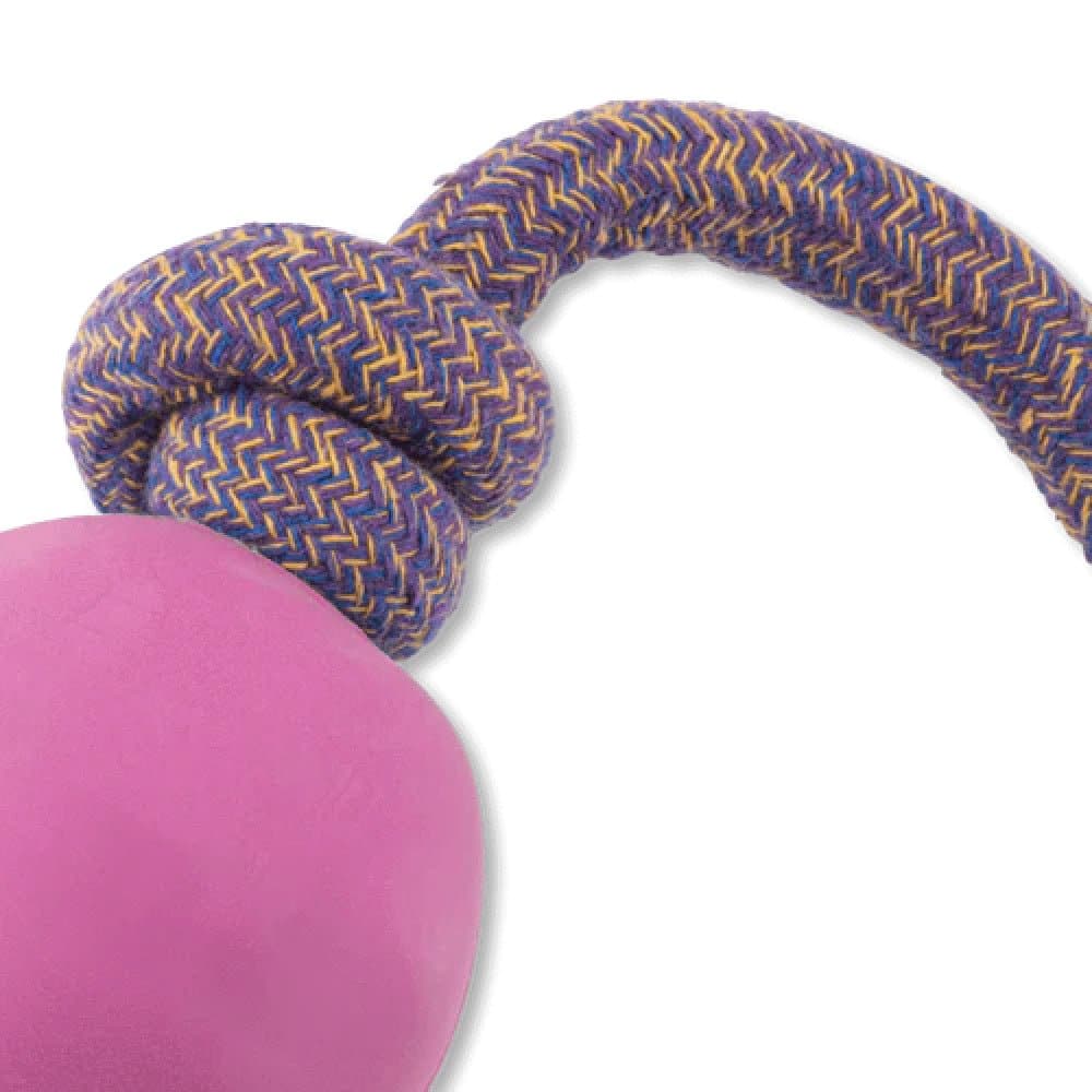 Beco Rubber Ball On Rope Toy for Dogs (Pink)