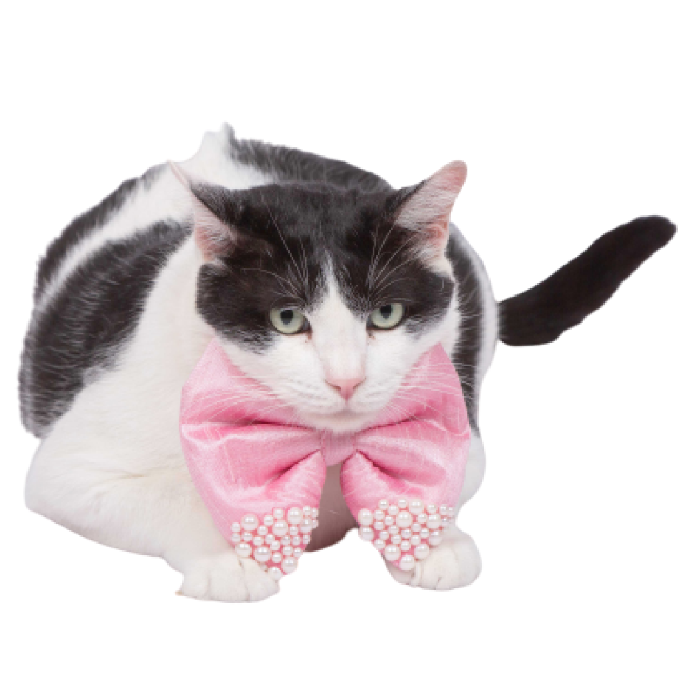 Up4pets Royal Bowtie - Pink