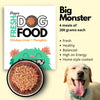Doggos Big Monster Chicken and Pumpkin Fresh Dog Wet Food (All Breeds)