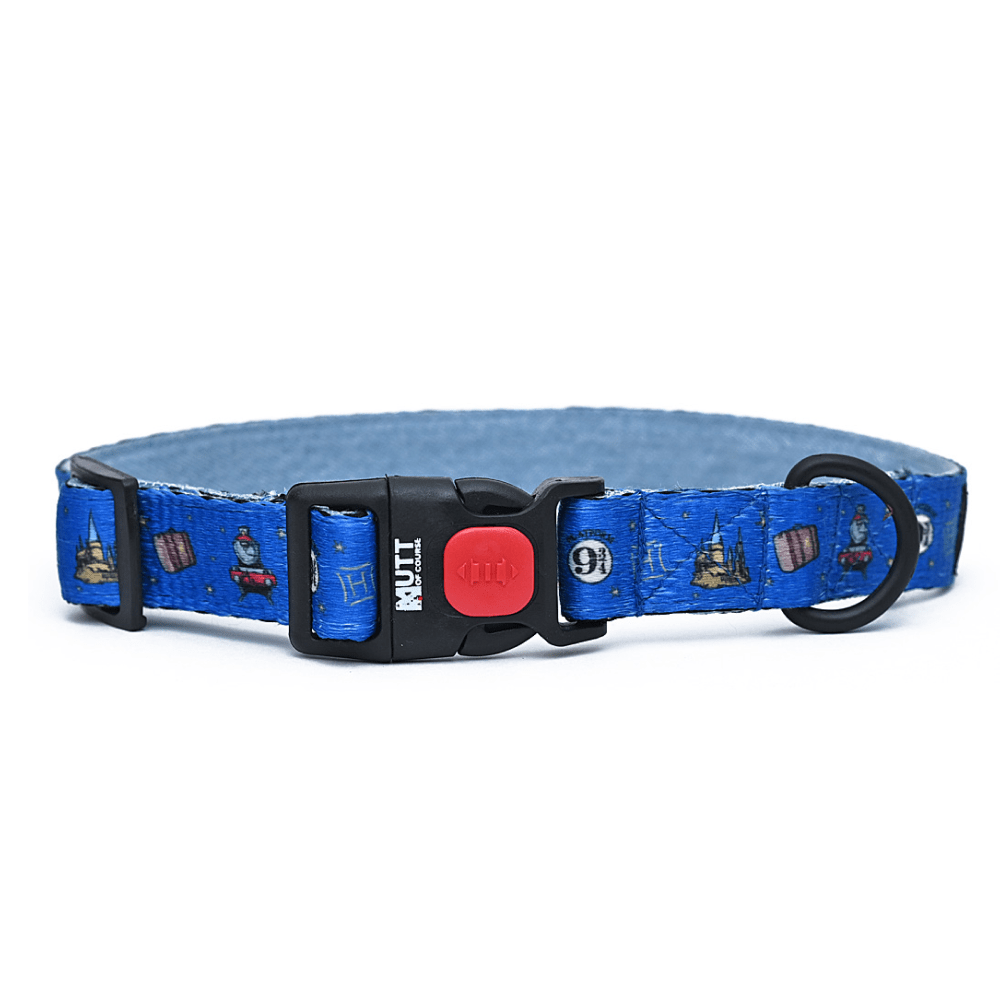 Harry Potter Welcome To Hogwarts Dog Collar
