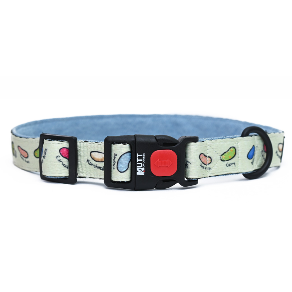 Harry Potter Every Flavour Bean Dog Collar