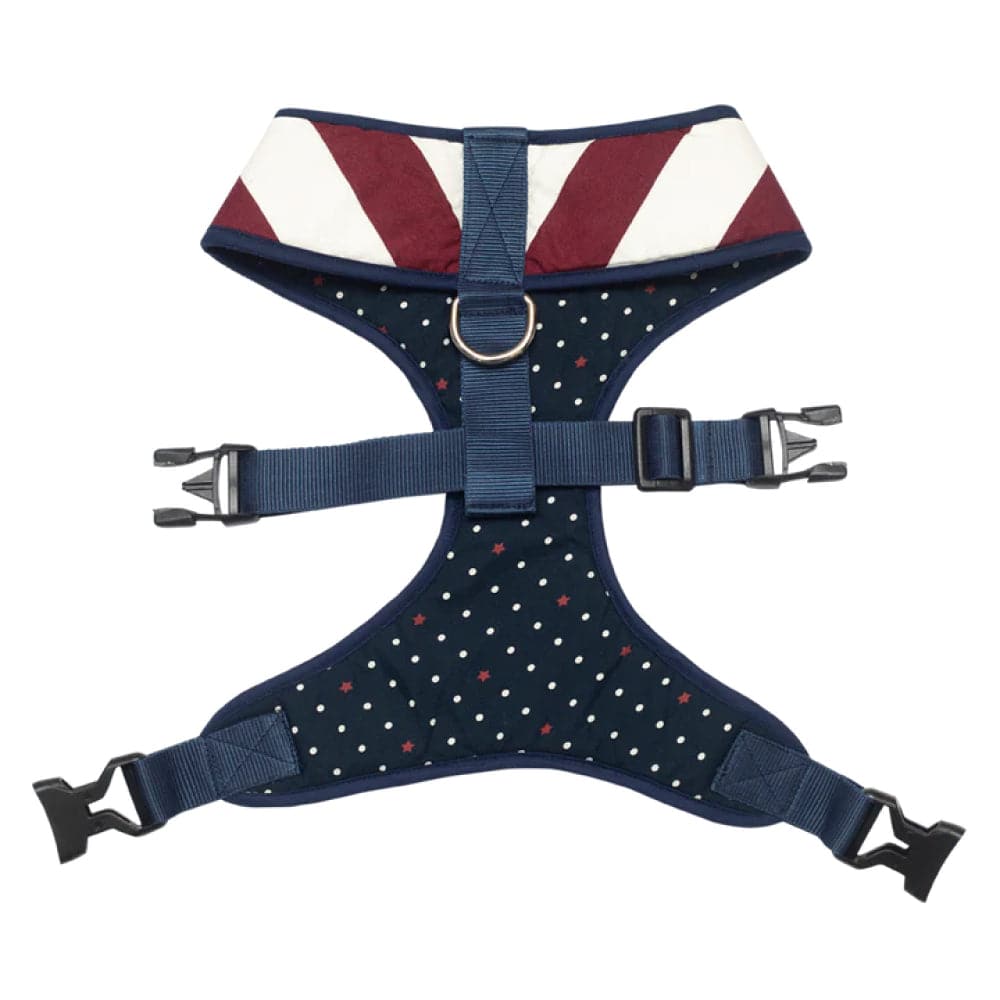 Pet And Parents Starry Stripes Reversible Harness for Dogs