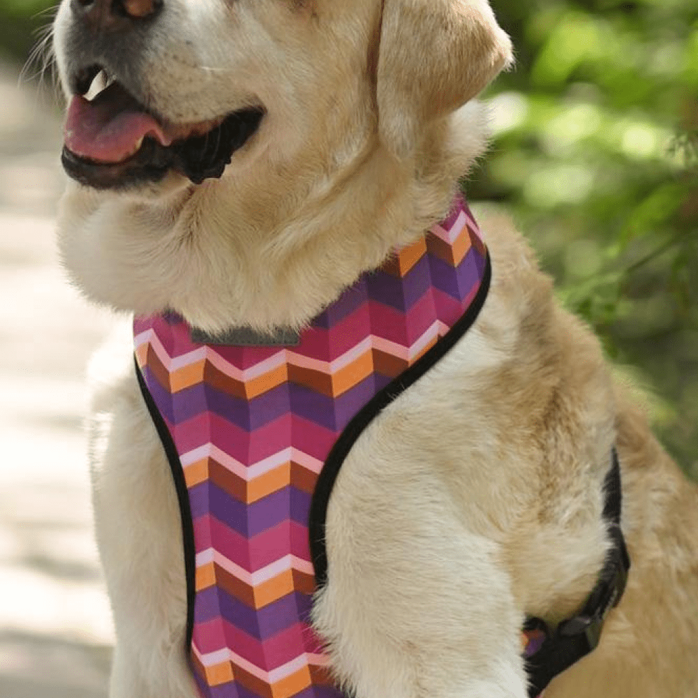 Mutt of Course Dark Geometrical Dog Harness