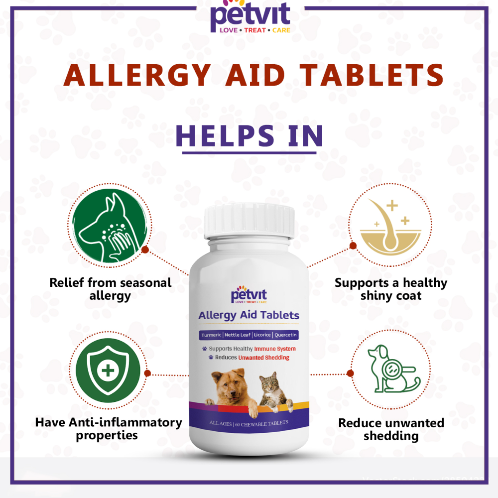 Anti allergy shop medication for dogs