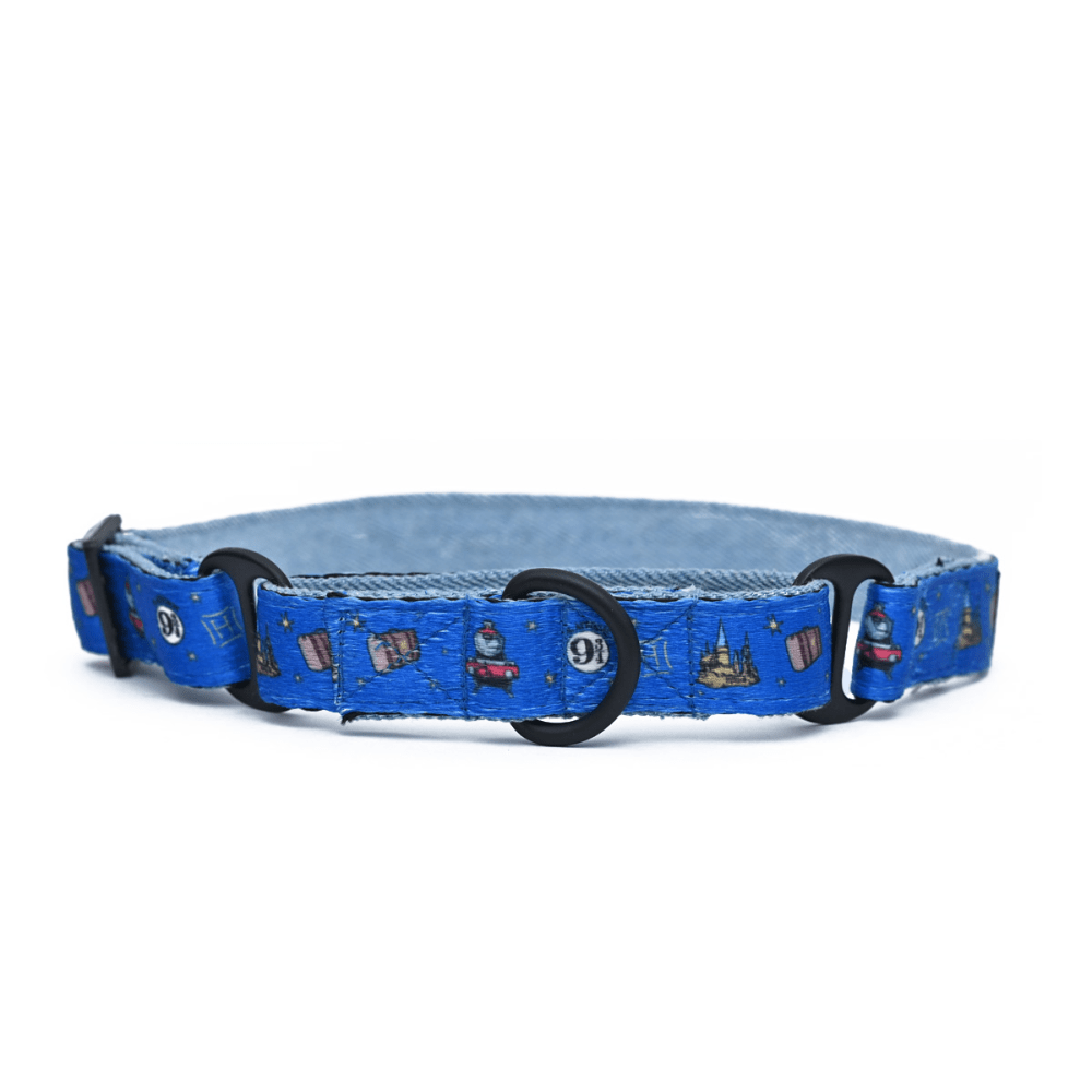 Harry Potter Welcome To Hogwarts Martingale Dog Collar