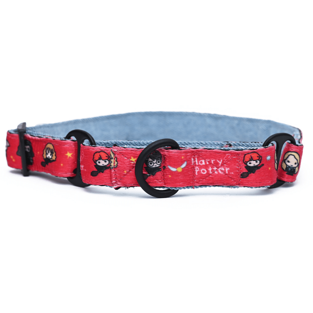 Harry Potter Friends Of Harry Potter Martingale Dog Collar