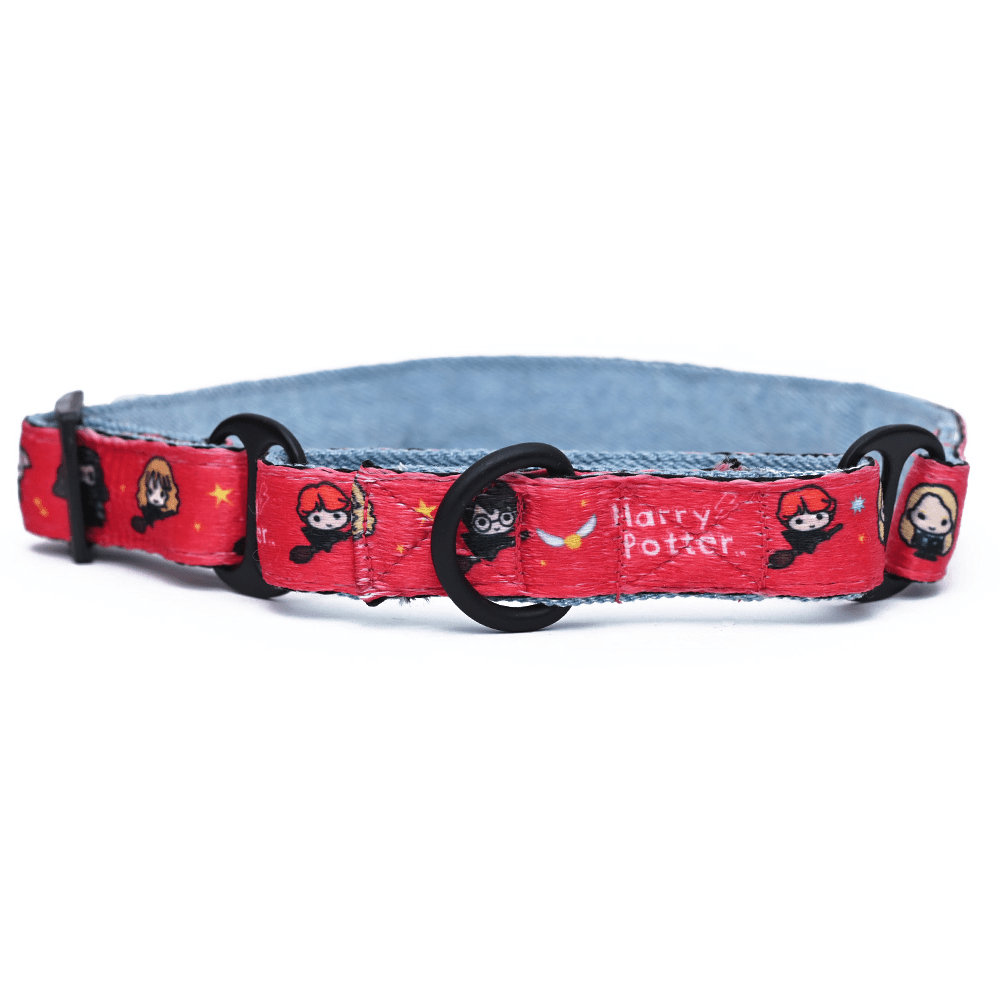 Harry potter martingale collar best sale