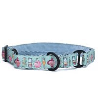 Harry Potter Potions In Motions Martingale Dog Collar