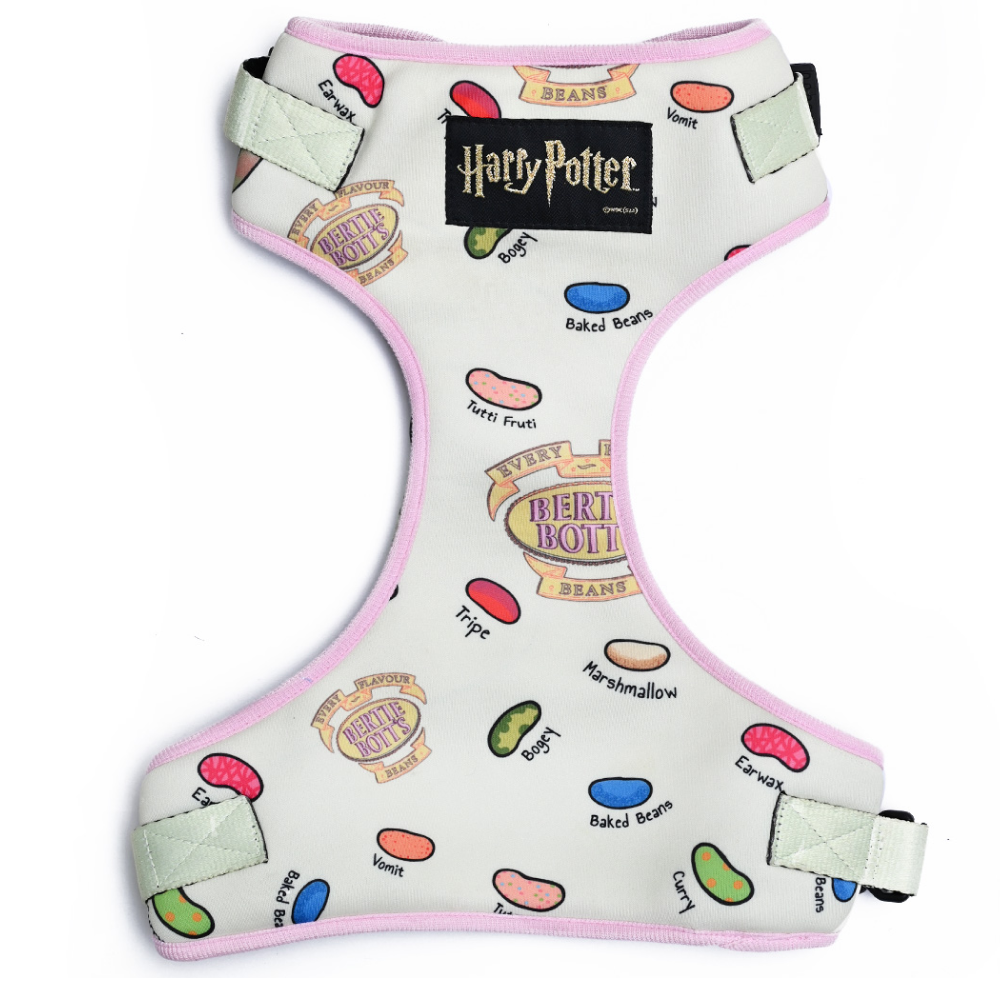Harry Potter Every Flavour Bean Dog Harness