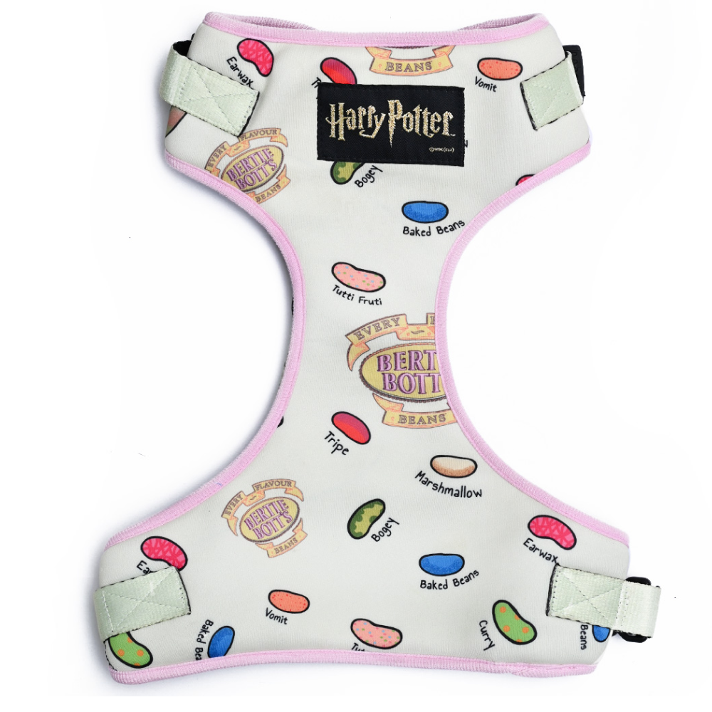 Buy Harry Potter Bean Harness for Dogs Online in India Supertails