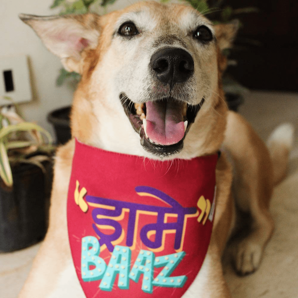 Lana Paws Drame Baaz Adjustable Dog Bandana/ Scarf