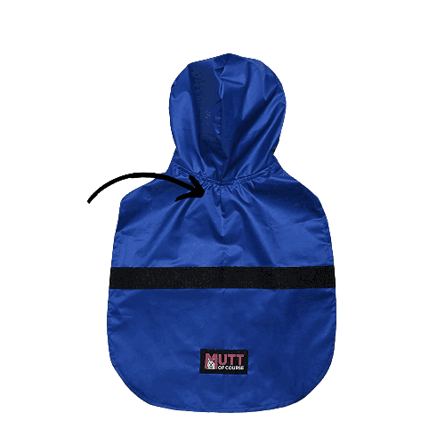 Mutt of Course Raincoat For Dogs (Blue)