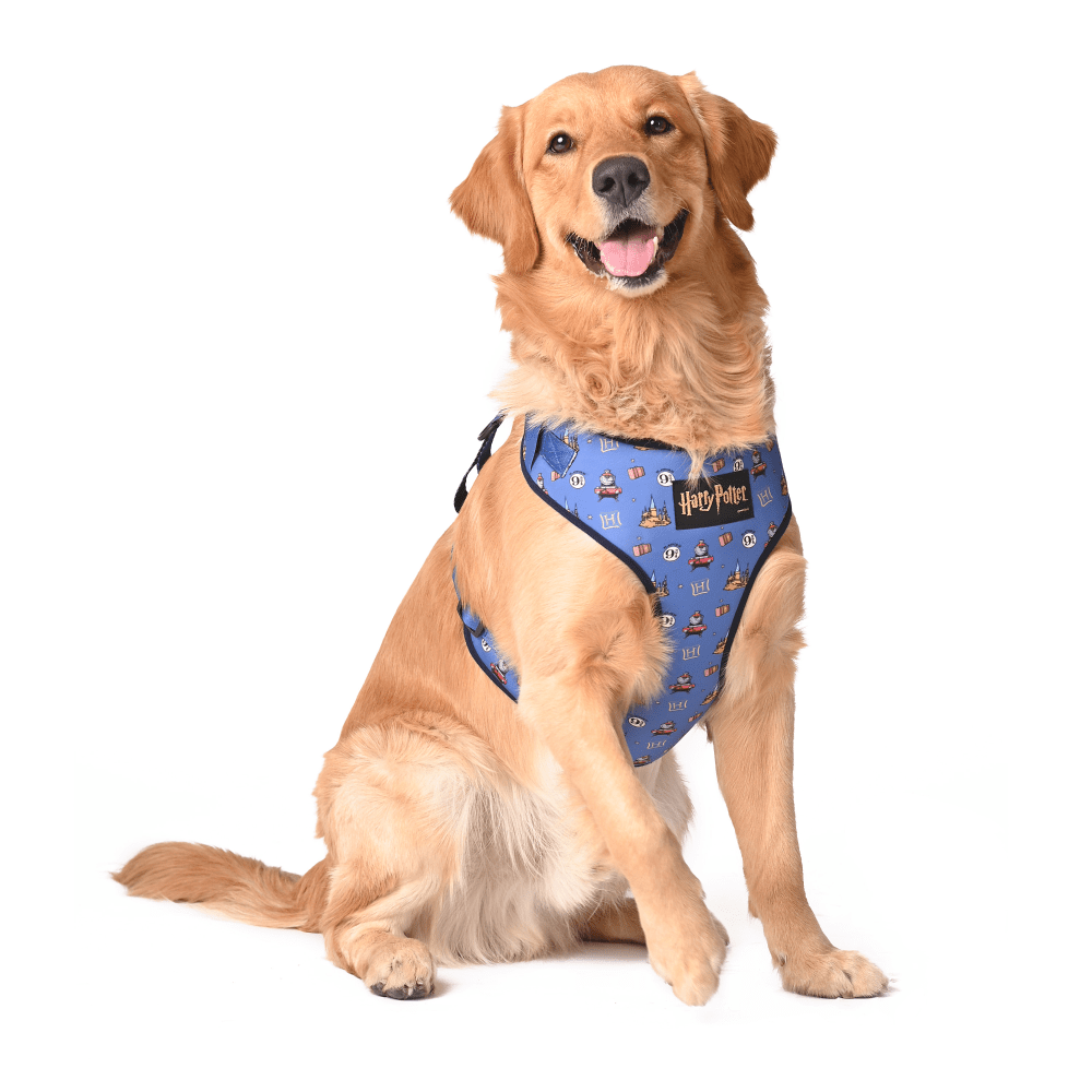 Harry Potter Welcome To Hogwarts Dog Harness