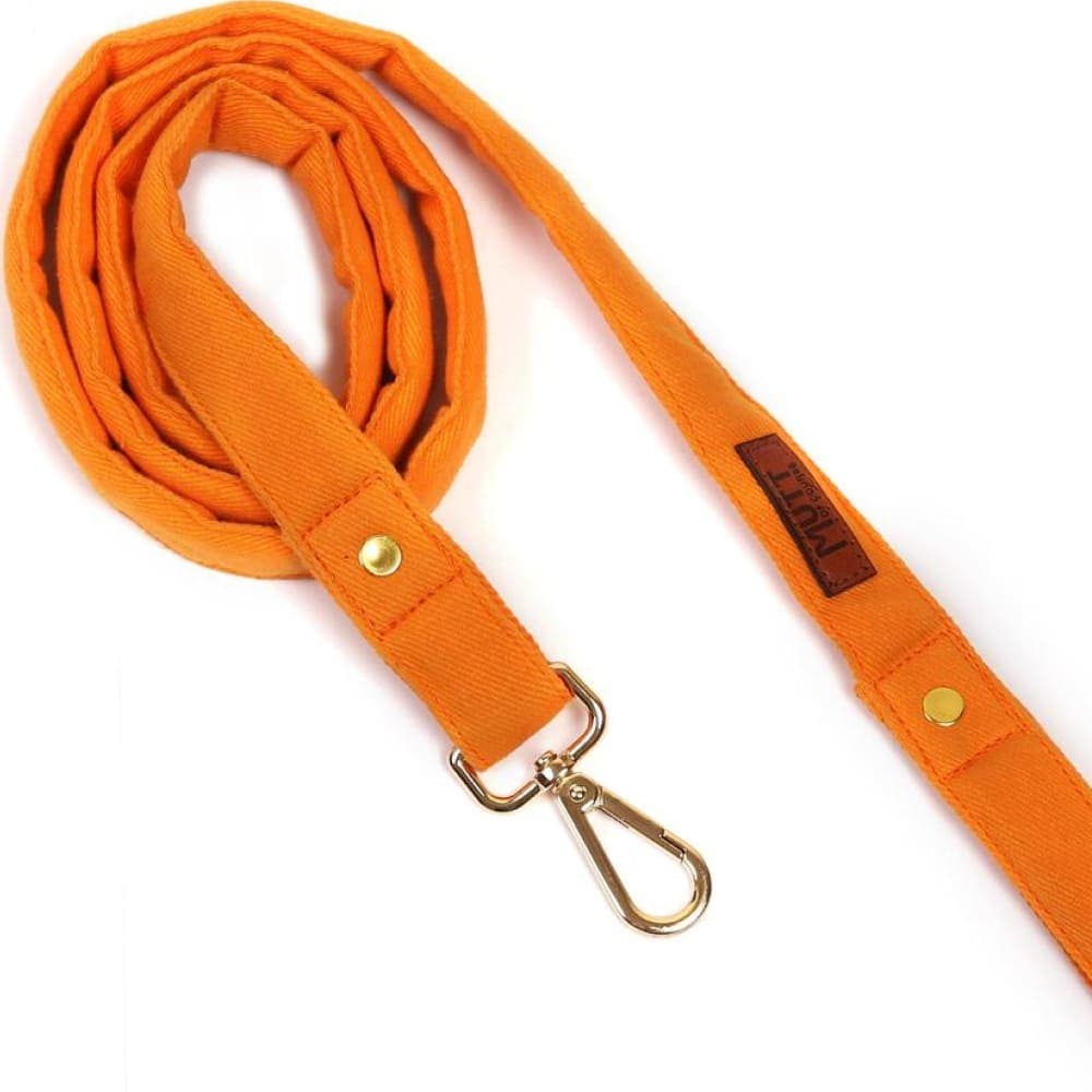 Mutt of Course Leash for Dogs (Gooseberry)