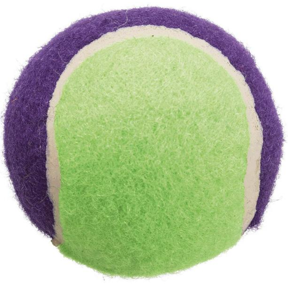 Trixie Tennis Ball Toy for Dogs and Cats (Green/Purple)