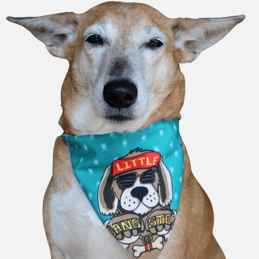 Lana Paws Little Gangster Adjustable Dog Bandana/ Scarf
