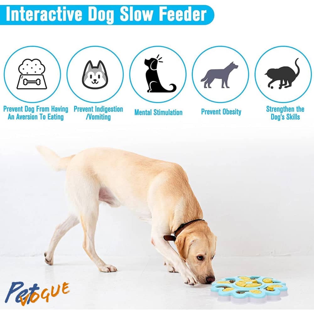 Pet Vogue Slow Feeder Flower Shaped Toy for Dogs and Cats (Blue)