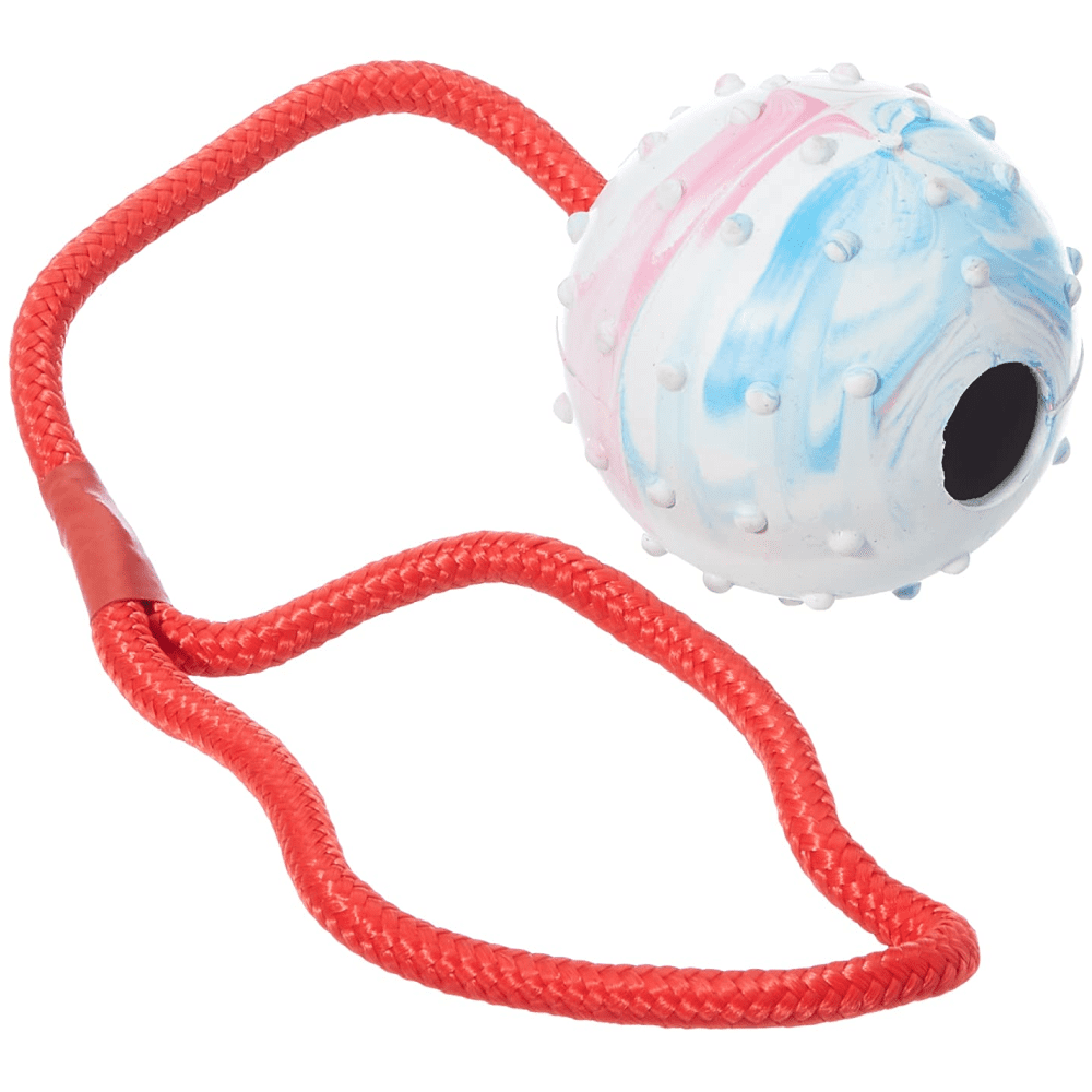 Trixie Ball on Rope Natural Rubber Toy for Dogs