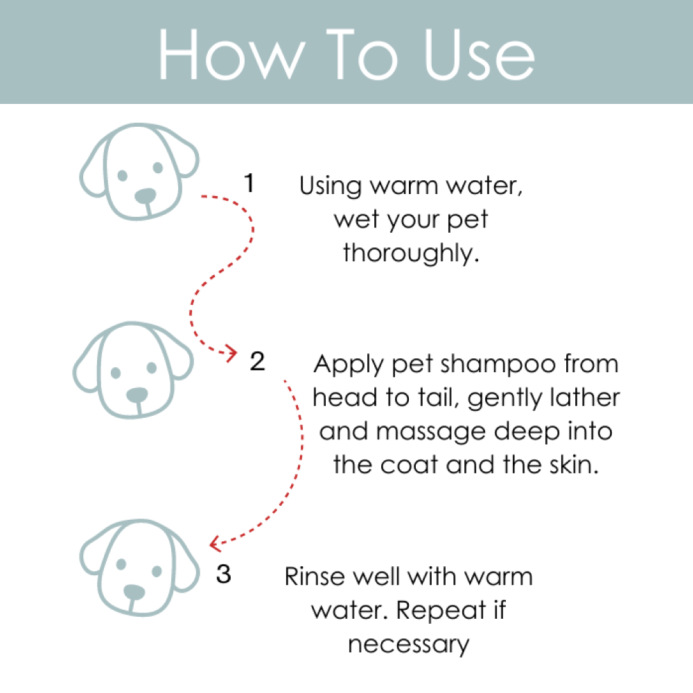 Pet And Parents Anti Bacterial/Tick/Flea Tearless Shampoo for Dogs and Cats