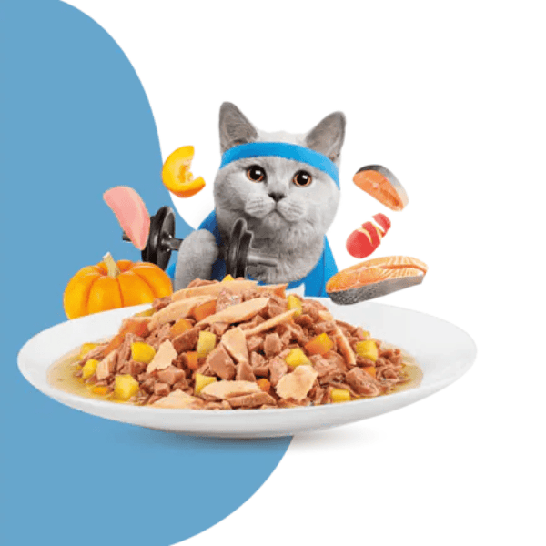 Moochie Salmon Grain Free Weight Control Cat Treats