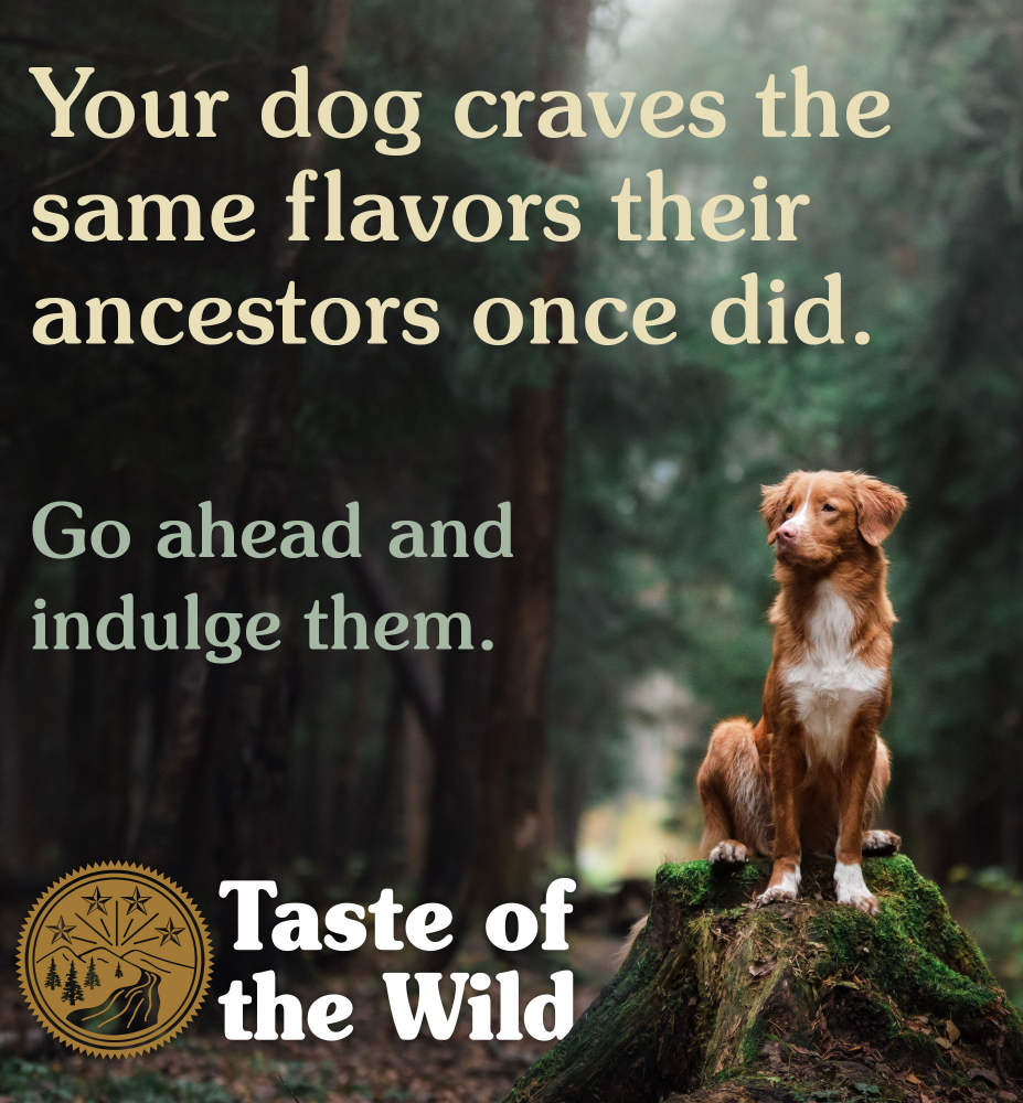 Taste of the Wild Wetlands Canine Recipe with Roasted Fowl Adult Dog Dry Food
