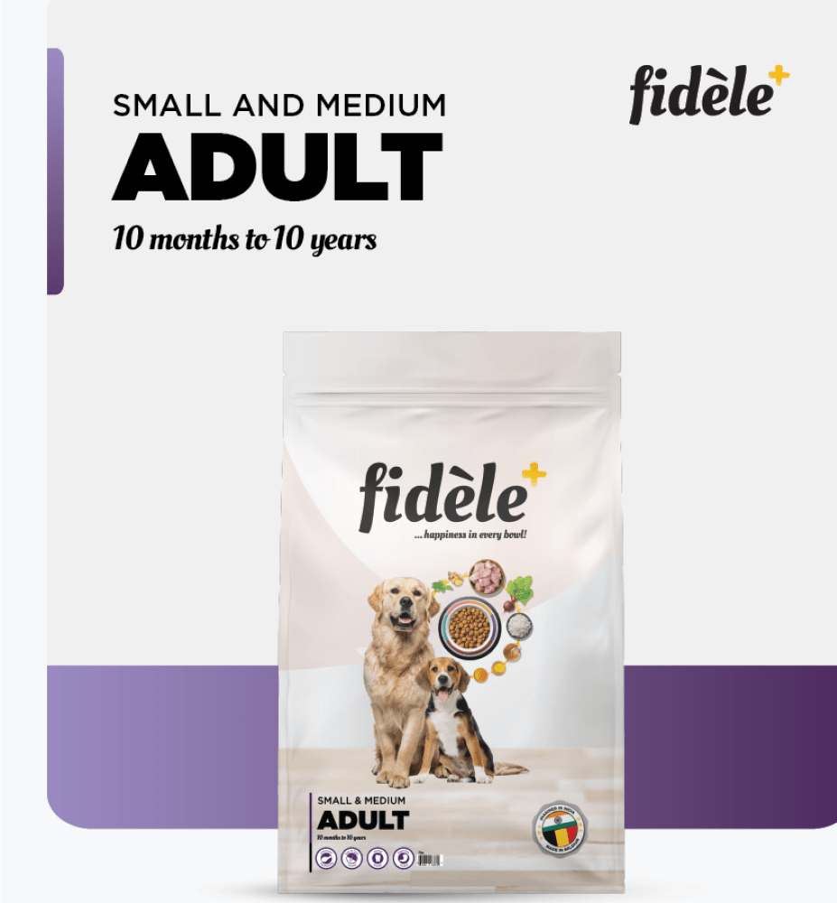 Fidele Plus Adult Small & Medium Dog Dry Food