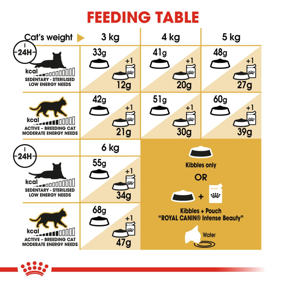 Royal Canin Siamese Adult Cat Dry Food