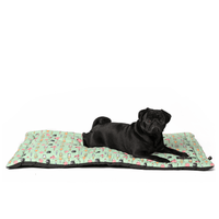 Harry Potter Potions In Motions Mat for Pets