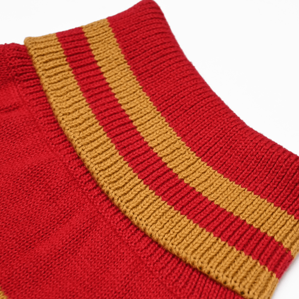 Gryffindor dog sweater online