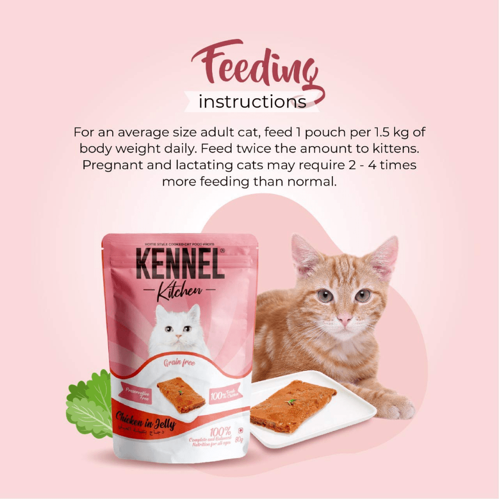 Kennel Kitchen Chicken in Jelly Kitten & Adult Wet Cat Food