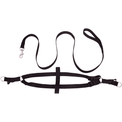 Emily Pets Leash And Harness Set for Dogs and Cats (Black)