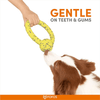 Barkbutler x Fofos Durable Puller Toy for Dogs (Yellow)
