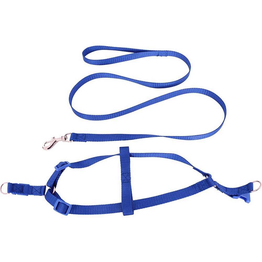 Emily Pets Leash And Harness Set for Dogs (Blue)